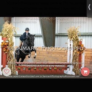 Meet your Posher, Katherine